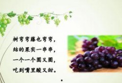 84页ppt吃瓜,从84页PPT看网络现象的演变与影响