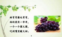 84页ppt吃瓜,从84页PPT看网络现象的演变与影响