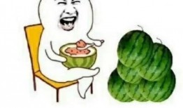 快乐吃瓜 入口,畅享生活滋味