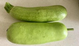 立秋吃一瓜,瓜果飘香——探寻传统美食“吃一瓜”的奥秘