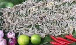 在森林里吃酸瓜,酸瓜引发的探险之旅