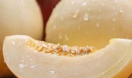 吃瓜没胃口想吐,揭秘吃瓜引发的“吐”现象