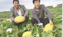 老蔺吃瓜,揭秘娱乐圈背后的秘密与真相