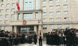 法院吃瓜,吃瓜群众揭秘司法大案背后的故事