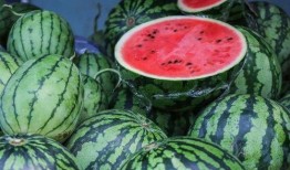 现在都用什么吃瓜,揭秘当下热门话题的传播与热议