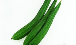 吃瓜百度种子,网络热议背后的真相与影响