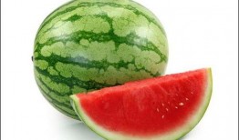 冬天可以吃生瓜,探索生瓜的鲜美滋味