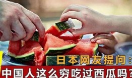 中国吃瓜群众在国外吃瓜,中国网友的跨国“瓜田”奇遇