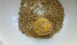 老婆吃芝麻瓜,老婆的甜蜜诱惑，家的温馨味道