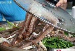 活章鱼吃瓜后续