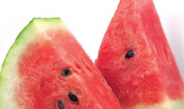 吃瓜百度种子,网络热议背后的真相与影响