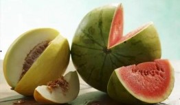 娄娄吃瓜,揭秘娱乐圈那些不为人知的幕后故事