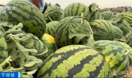 每日吃瓜热门吃瓜,揭秘娱乐圈最新热点事件