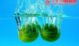 梦见吃月瓜,揭秘吃月瓜的神秘寓意