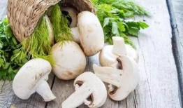 蘑菇爆料吃瓜视频,揭秘吃瓜视频背后的真相与幕后故事