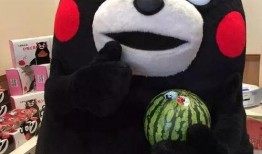 熊本吃瓜,揭秘日本熊本县独特的美食文化