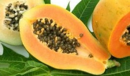 有胃病泈瓜可吃吗,健康饮食新选择