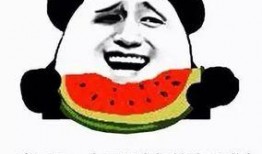 吃瓜过来,吃瓜群众视角下的娱乐圈风云录