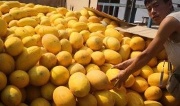 华百吃瓜,揭秘娱乐圈幕后故事