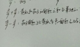 老公种的瓜老婆吃瓜感言