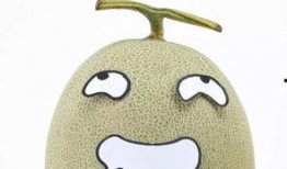 天天吃瓜吃撑了都不想吃,吃遍天下瓜，再无食欲挑战