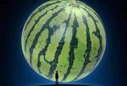 吃瓜小道,吃瓜小道带你领略明星幕后故事