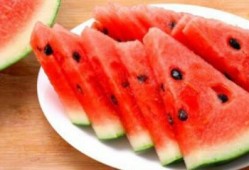 吃瓜的工作视频,工作视频中的趣味瞬间