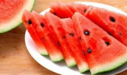 吃瓜的工作视频,工作视频中的趣味瞬间