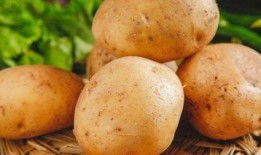 带你吃瓜土豆,带你领略“吃瓜土豆”的独特魅力