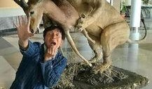 带你吃瓜老狮,揭秘带你吃瓜老狮的传奇故事