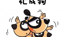 工作很忙时被迫吃瓜,职场生活的酸甜苦辣