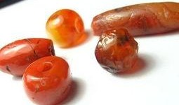 合金珠子吃瓜,揭秘吃瓜背后的科技魅力