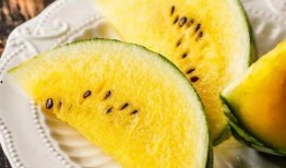 吃瓜金宝,网络红人的崛起之路