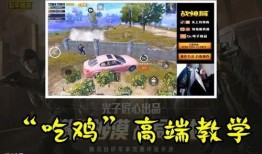 无忧车队吃瓜,一场吃瓜盛宴背后的故事