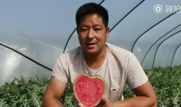 520 吃瓜,揭秘娱乐圈甜蜜背后的秘密