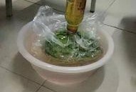 室友喝啤酒吃瓜,室友欢聚时光