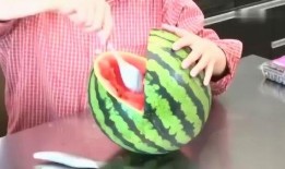 德国视频吃瓜,一场别开生面的视频吃瓜盛宴