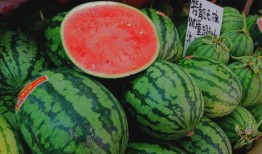 为什么吃瓜要钱,揭秘吃瓜为何需付费的背后真相