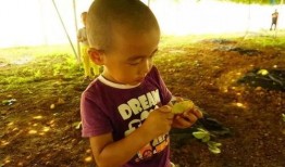 有没有大型吃瓜群,网络舆论场中的焦点聚集地