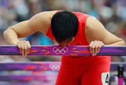 吃瓜群众评价刘翔