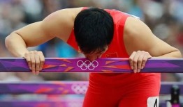 吃瓜群众评价刘翔