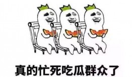 英语翻译吃瓜,Unveiling the Buzz: A Glimpse into the World of 'Eating Watermelons'