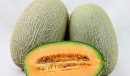 吃哈密瓜能不能喝奶粉