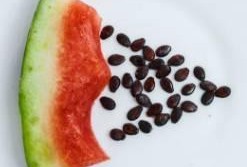 只吃籽不吃瓜,揭秘只吃籽不吃瓜的奇妙现象