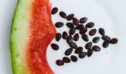 只吃籽不吃瓜,揭秘只吃籽不吃瓜的奇妙现象