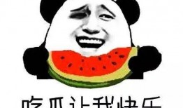 苏子辰吃瓜群众,吃瓜群众的美食探索之旅