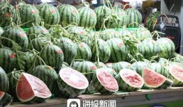 高蓬镇吃瓜,瓜香四溢，品味夏日田园风情