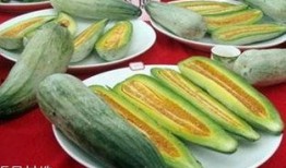 吃酥瓜,夏日清凉美食之旅