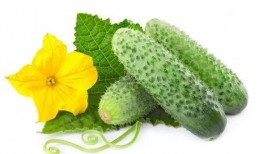 季宴清吃瓜系统,揭秘娱乐圈幕后风云