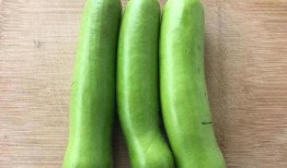 糖人吃瓠子瓜,传统技艺焕新颜